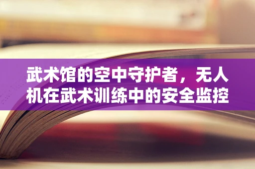 武术馆的空中守护者，无人机在武术训练中的安全监控新角色？