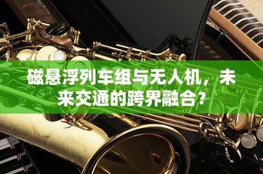 磁悬浮列车组与无人机，未来交通的跨界融合？