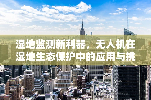 湿地监测新利器，无人机在湿地生态保护中的应用与挑战