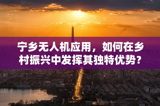 宁乡无人机应用，如何在乡村振兴中发挥其独特优势？