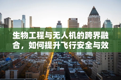 生物工程与无人机的跨界融合，如何提升飞行安全与效率？