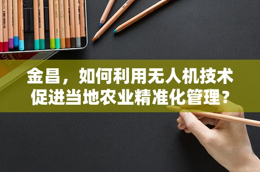 金昌，如何利用无人机技术促进当地农业精准化管理？