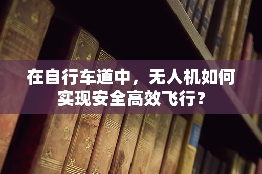 在自行车道中，无人机如何实现安全高效飞行？