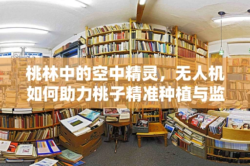 桃林中的空中精灵，无人机如何助力桃子精准种植与监测？