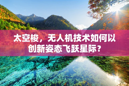 太空梭，无人机技术如何以创新姿态飞跃星际？