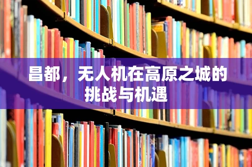 昌都，无人机在高原之城的挑战与机遇
