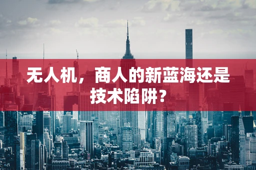无人机，商人的新蓝海还是技术陷阱？