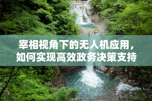 宰相视角下的无人机应用，如何实现高效政务决策支持？