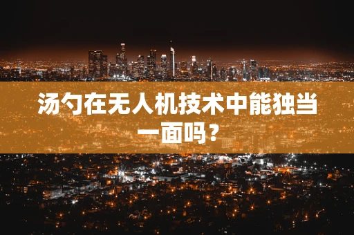 汤勺在无人机技术中能独当一面吗？