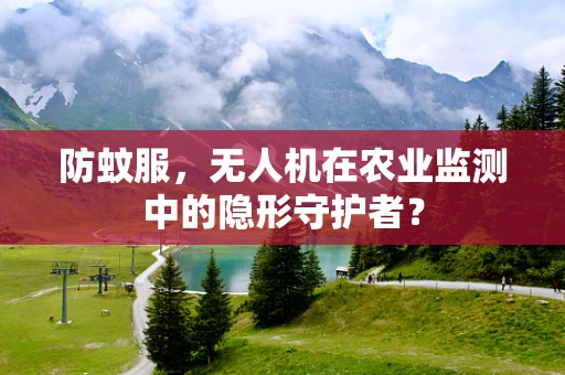 防蚊服，无人机在农业监测中的隐形守护者？