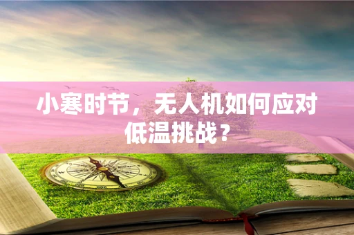 小寒时节，无人机如何应对低温挑战？