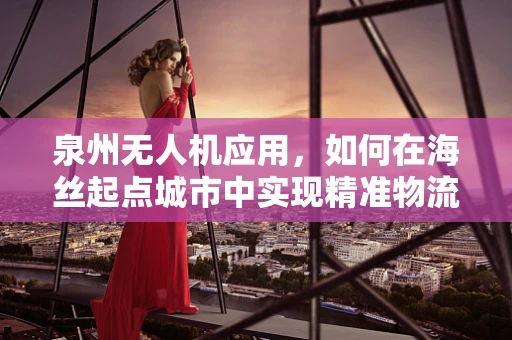 泉州无人机应用，如何在海丝起点城市中实现精准物流配送？