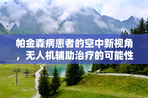 帕金森病患者的空中新视角，无人机辅助治疗的可能性