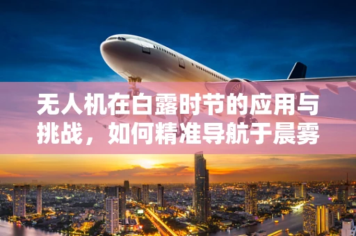 无人机在白露时节的应用与挑战，如何精准导航于晨雾之中？