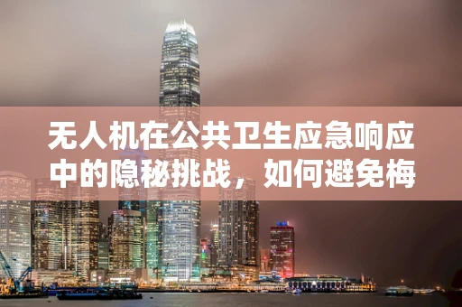 无人机在公共卫生应急响应中的隐秘挑战，如何避免梅毒式信息泄露？