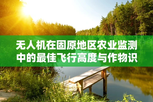 无人机在固原地区农业监测中的最佳飞行高度与作物识别精度研究？