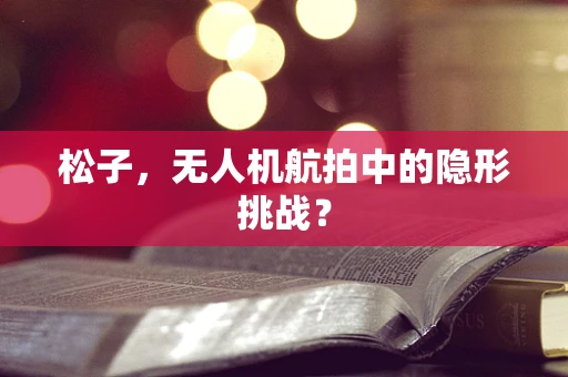 松子，无人机航拍中的隐形挑战？