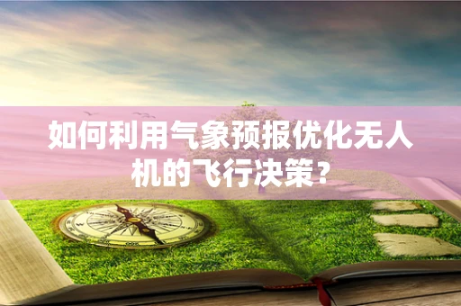 如何利用气象预报优化无人机的飞行决策？