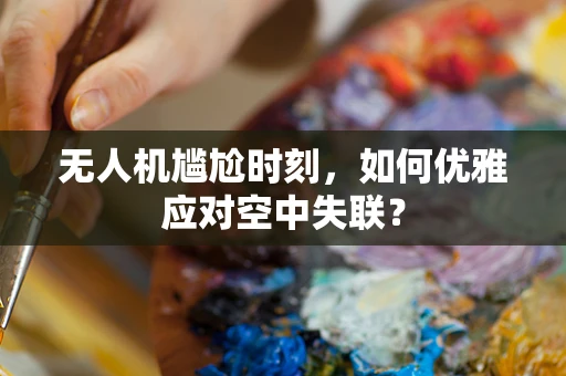 无人机尴尬时刻，如何优雅应对空中失联？