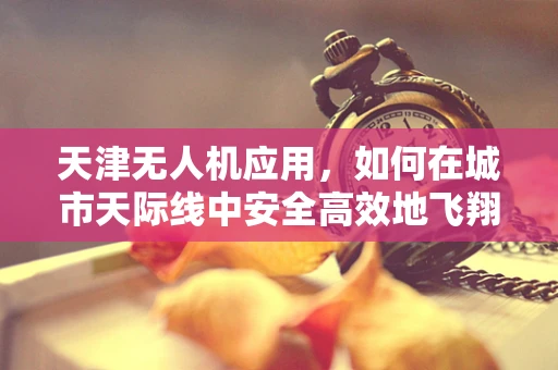 天津无人机应用，如何在城市天际线中安全高效地飞翔？