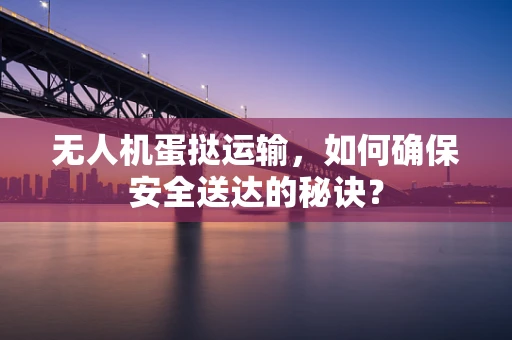 无人机蛋挞运输，如何确保安全送达的秘诀？