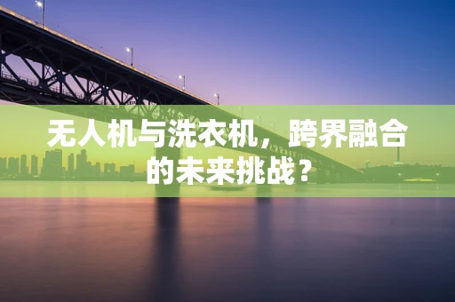 无人机与洗衣机，跨界融合的未来挑战？