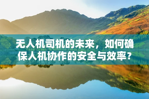 无人机司机的未来，如何确保人机协作的安全与效率？
