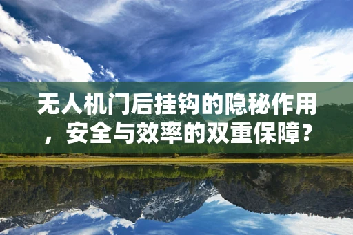 无人机门后挂钩的隐秘作用，安全与效率的双重保障？