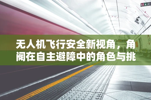 无人机飞行安全新视角，角阀在自主避障中的角色与挑战
