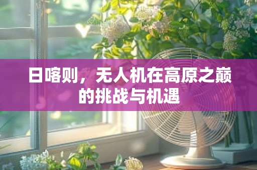 日喀则，无人机在高原之巅的挑战与机遇