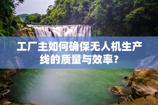 工厂主如何确保无人机生产线的质量与效率？