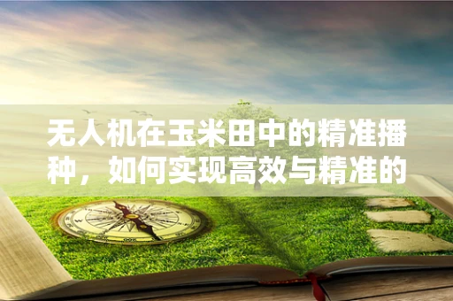 无人机在玉米田中的精准播种，如何实现高效与精准的双重飞跃？