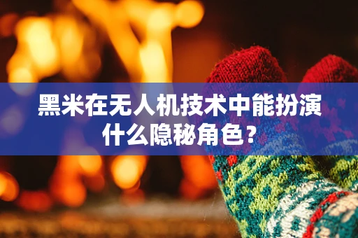 黑米在无人机技术中能扮演什么隐秘角色？