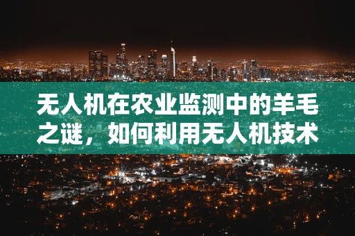 无人机在农业监测中的羊毛之谜，如何利用无人机技术精准识别作物覆盖物？