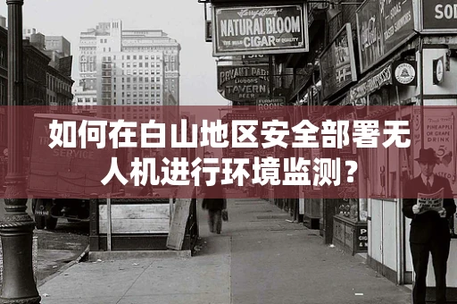 如何在白山地区安全部署无人机进行环境监测？