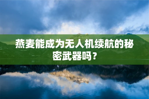 燕麦能成为无人机续航的秘密武器吗？