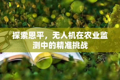探索恩平，无人机在农业监测中的精准挑战