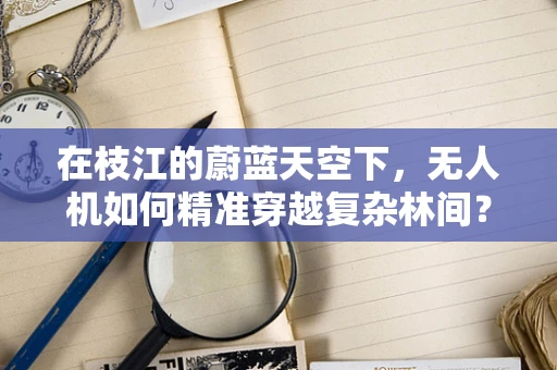 在枝江的蔚蓝天空下，无人机如何精准穿越复杂林间？