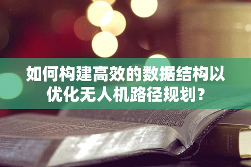 如何构建高效的数据结构以优化无人机路径规划？