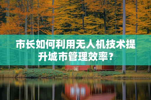 市长如何利用无人机技术提升城市管理效率？