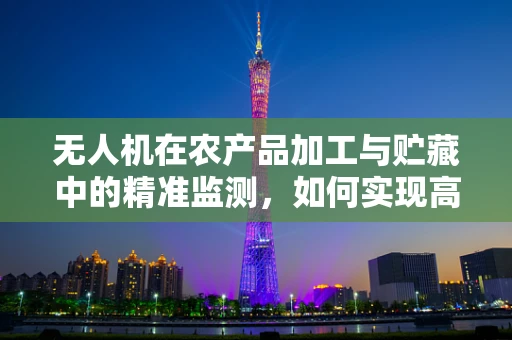 无人机在农产品加工与贮藏中的精准监测，如何实现高效与安全？