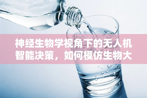 神经生物学视角下的无人机智能决策，如何模仿生物大脑的决策机制？