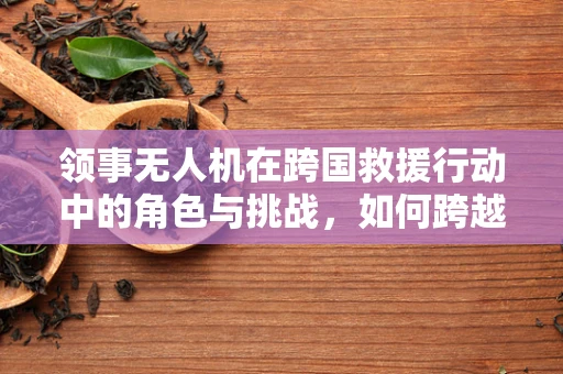 领事无人机在跨国救援行动中的角色与挑战，如何跨越国界？