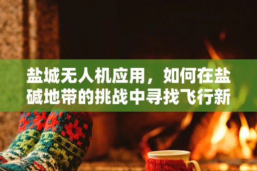 盐城无人机应用，如何在盐碱地带的挑战中寻找飞行新机遇？