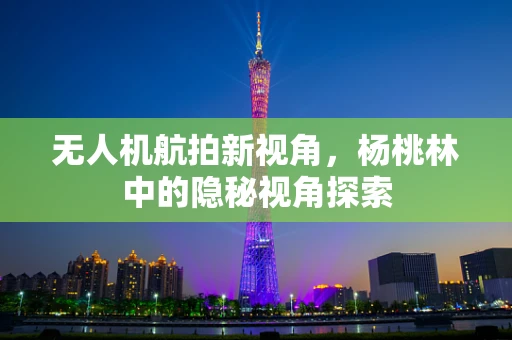 无人机航拍新视角，杨桃林中的隐秘视角探索