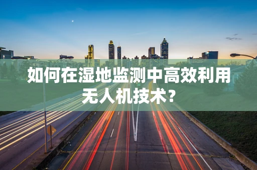 如何在湿地监测中高效利用无人机技术？