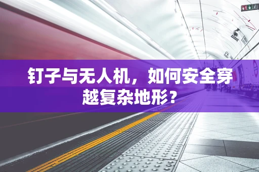 钉子与无人机，如何安全穿越复杂地形？