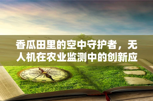 香瓜田里的空中守护者，无人机在农业监测中的创新应用？