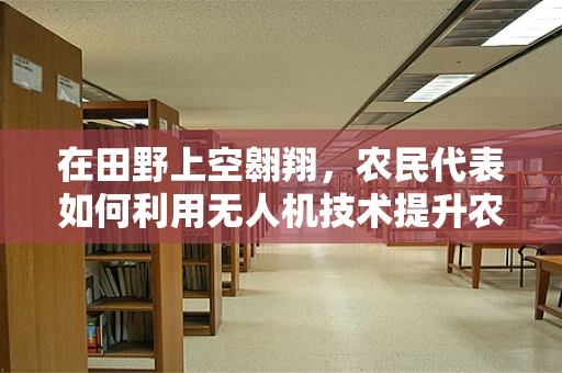 在田野上空翱翔，农民代表如何利用无人机技术提升农业生产效率？