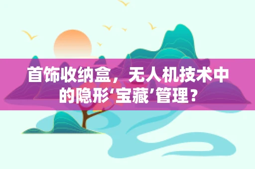 首饰收纳盒，无人机技术中的隐形‘宝藏’管理？